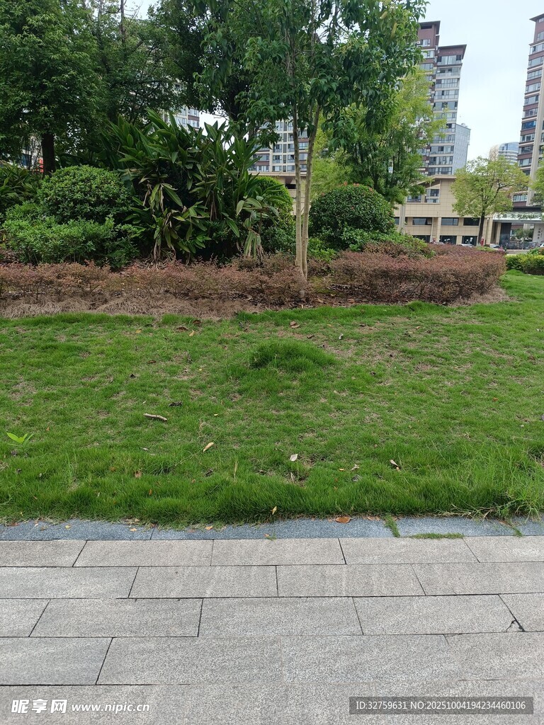城市街边绿意盎然的草坪