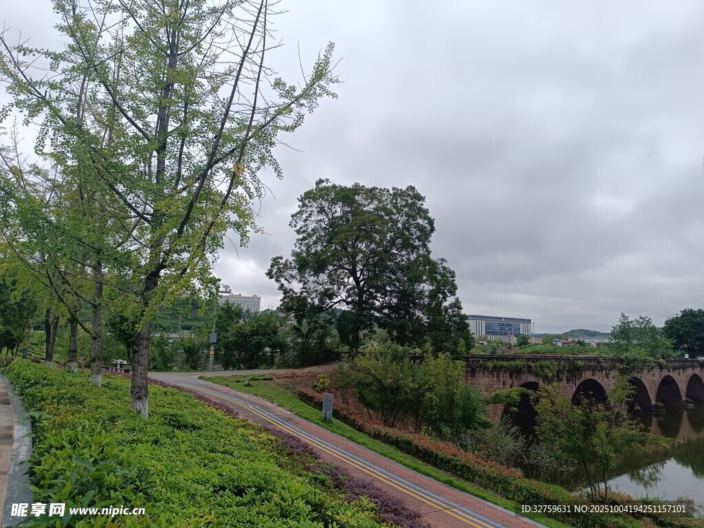乡村河畔绿意盎然景色