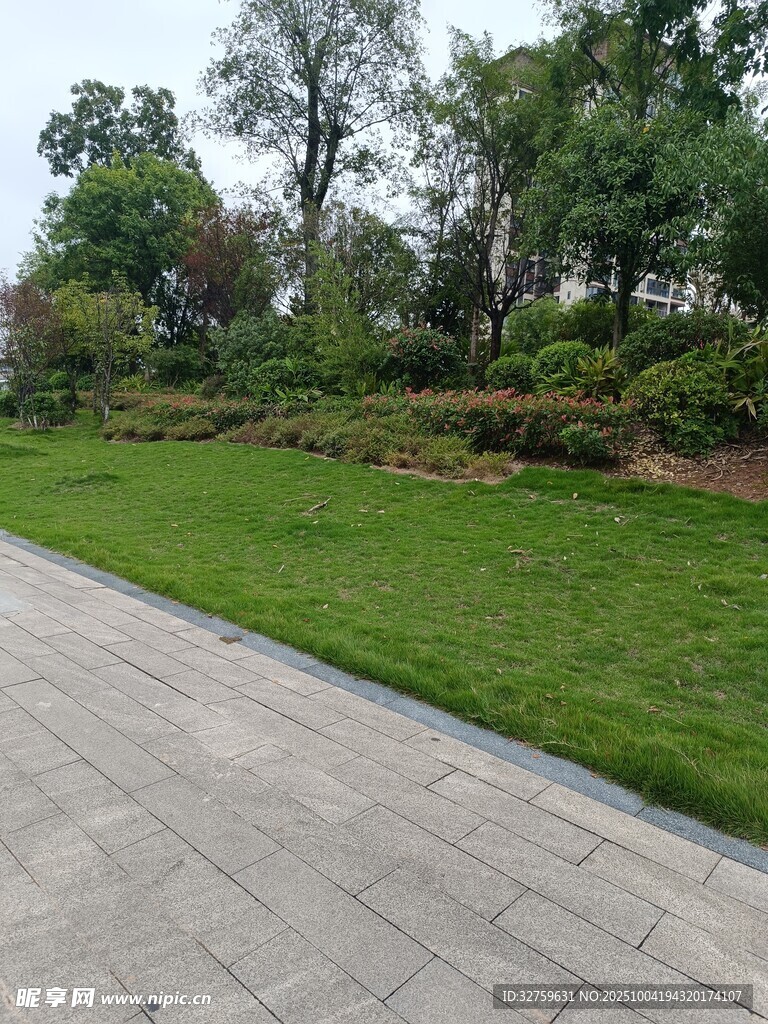 城市中的绿意步道景观