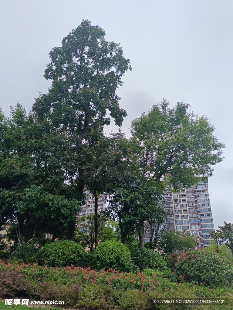 石砌建筑旁的葱郁树木