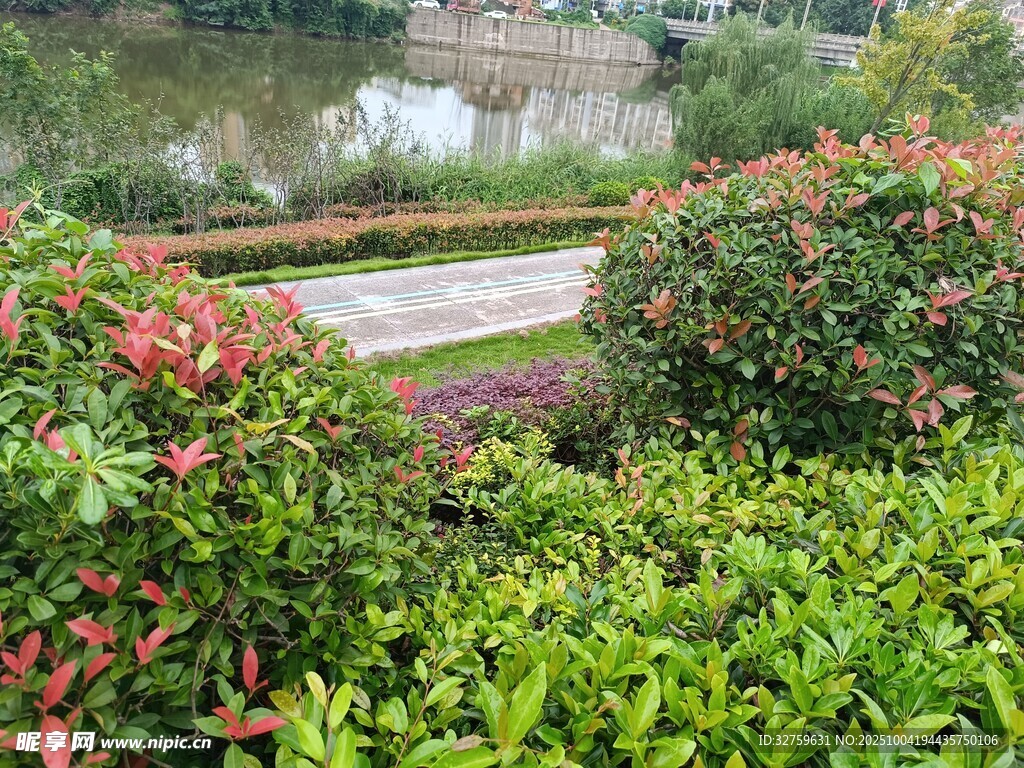 多彩绿植装点的花园景观
