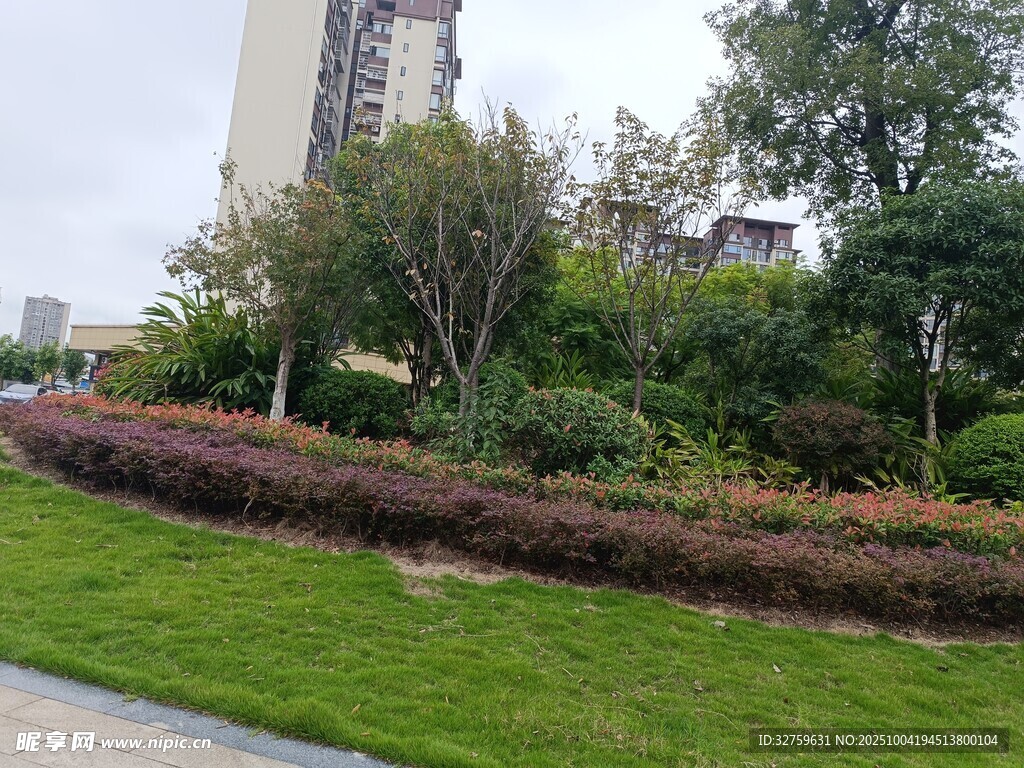 城市中的绿植景观