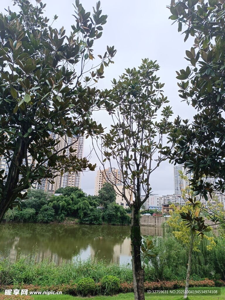 湖畔绿树环绕的静谧景致