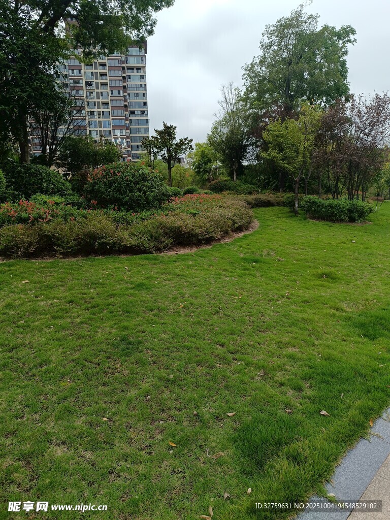 城市中的绿意盎然草坪景观