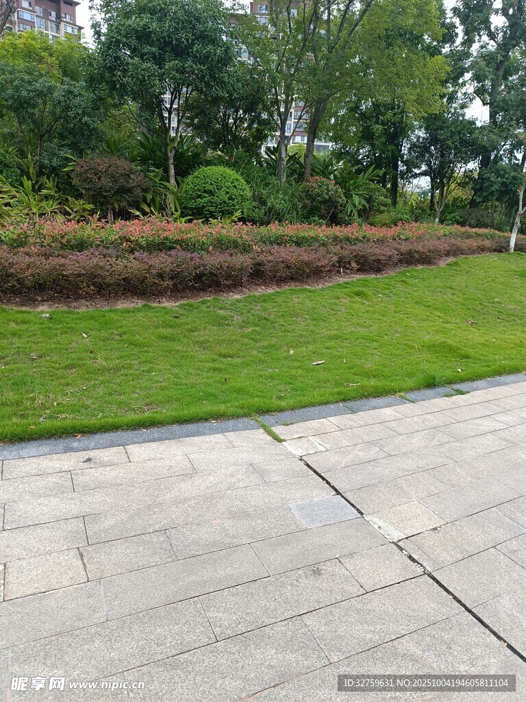 户外绿植环绕的开阔场地