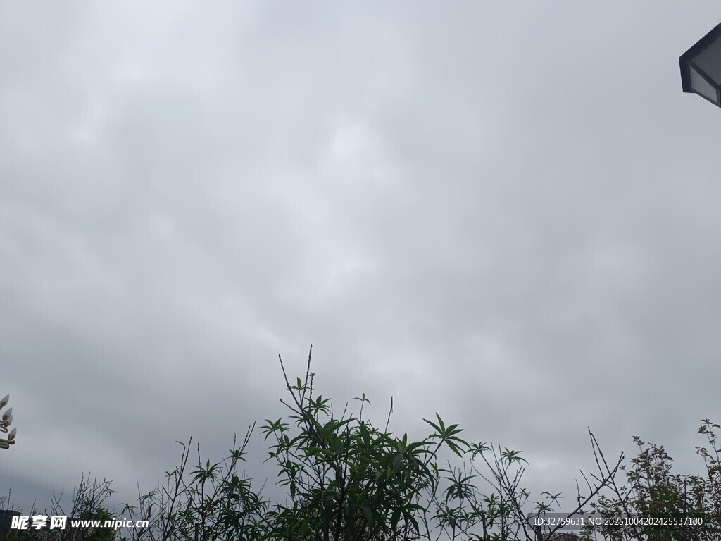 阴天景象下的绿植与建筑
