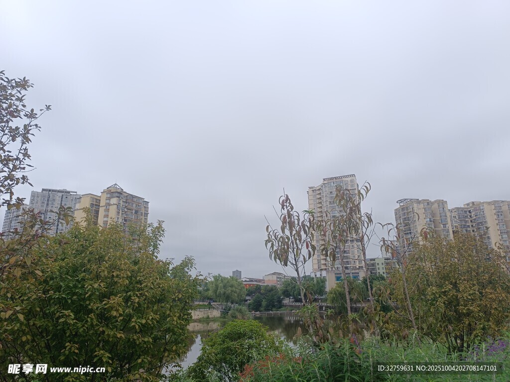 城市中的绿植与高楼景观
