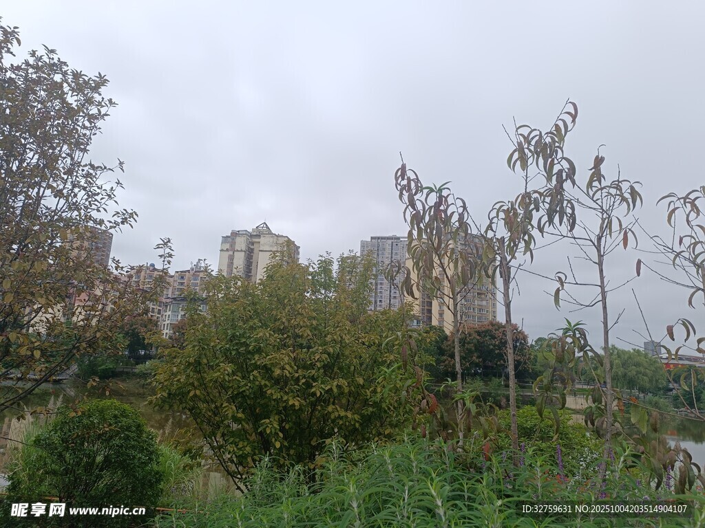 郊外绿植环绕的建筑景观