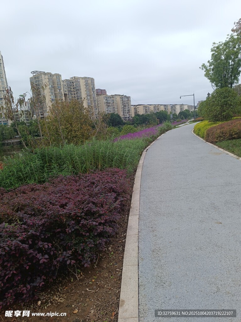 城市中的宁静景观步道