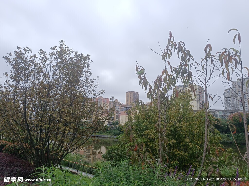 户外绿植景观