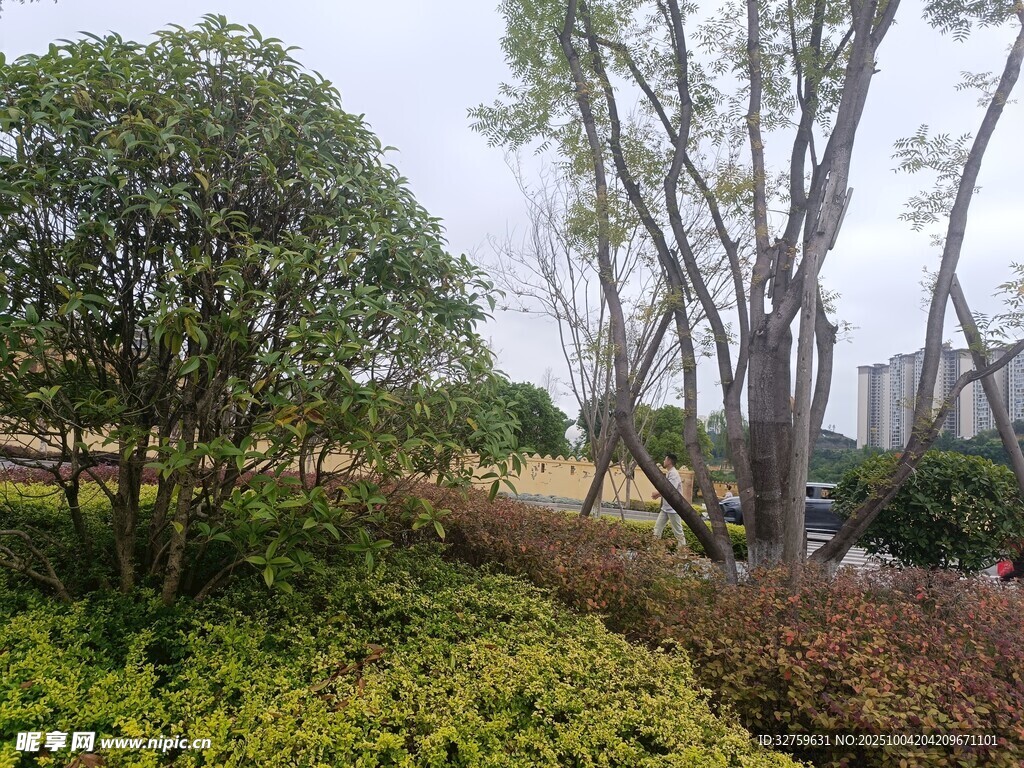 户外绿植景观