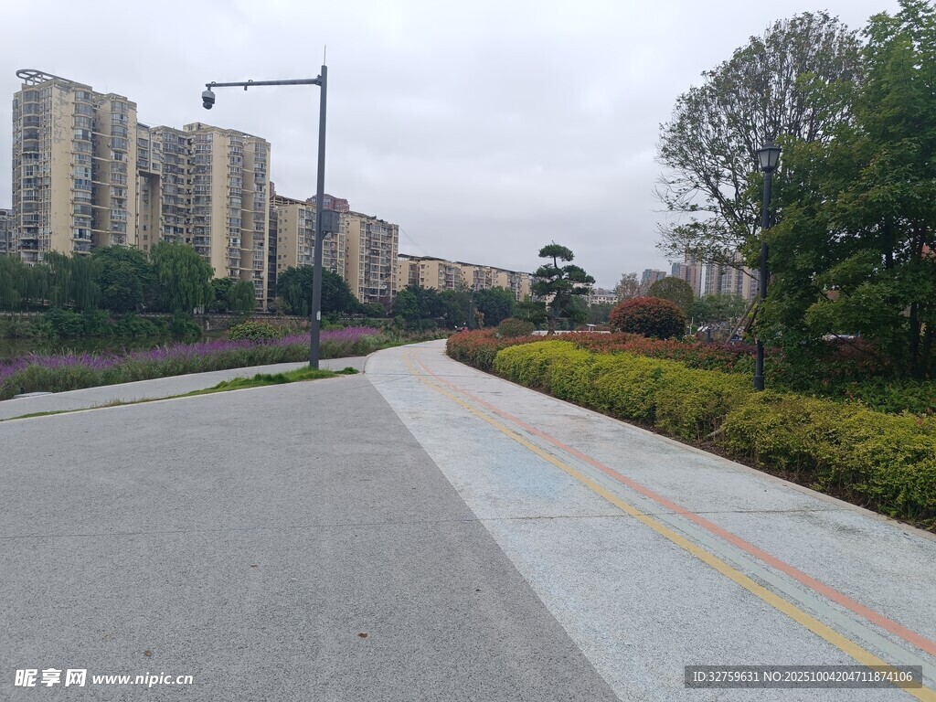城市中的宁静林荫道路