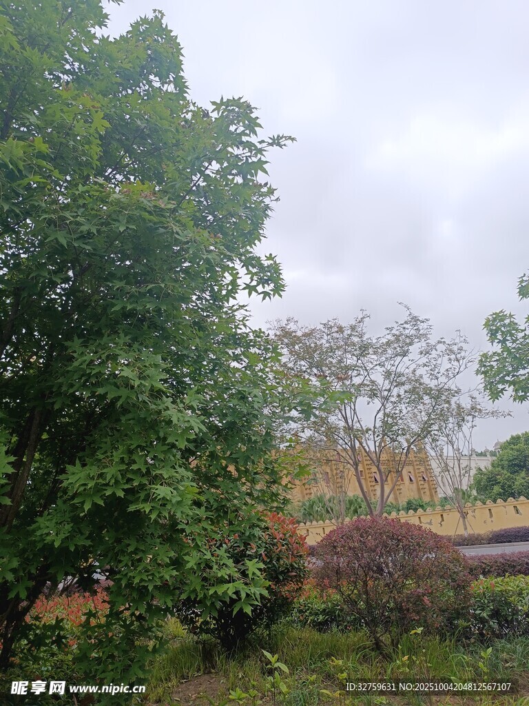 户外绿意盎然的自然景致