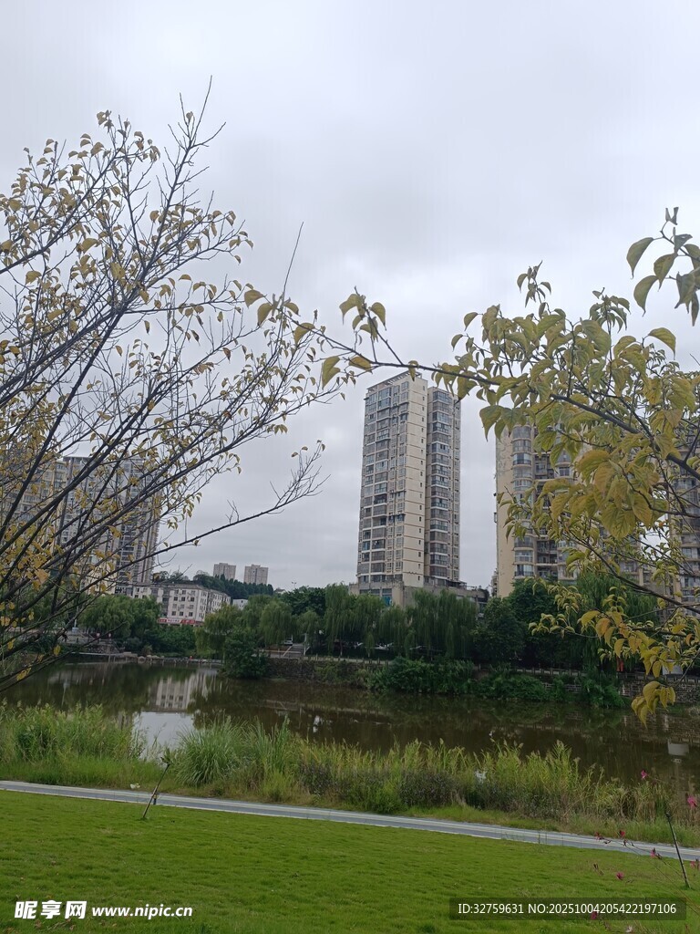 城市公园与高楼景观