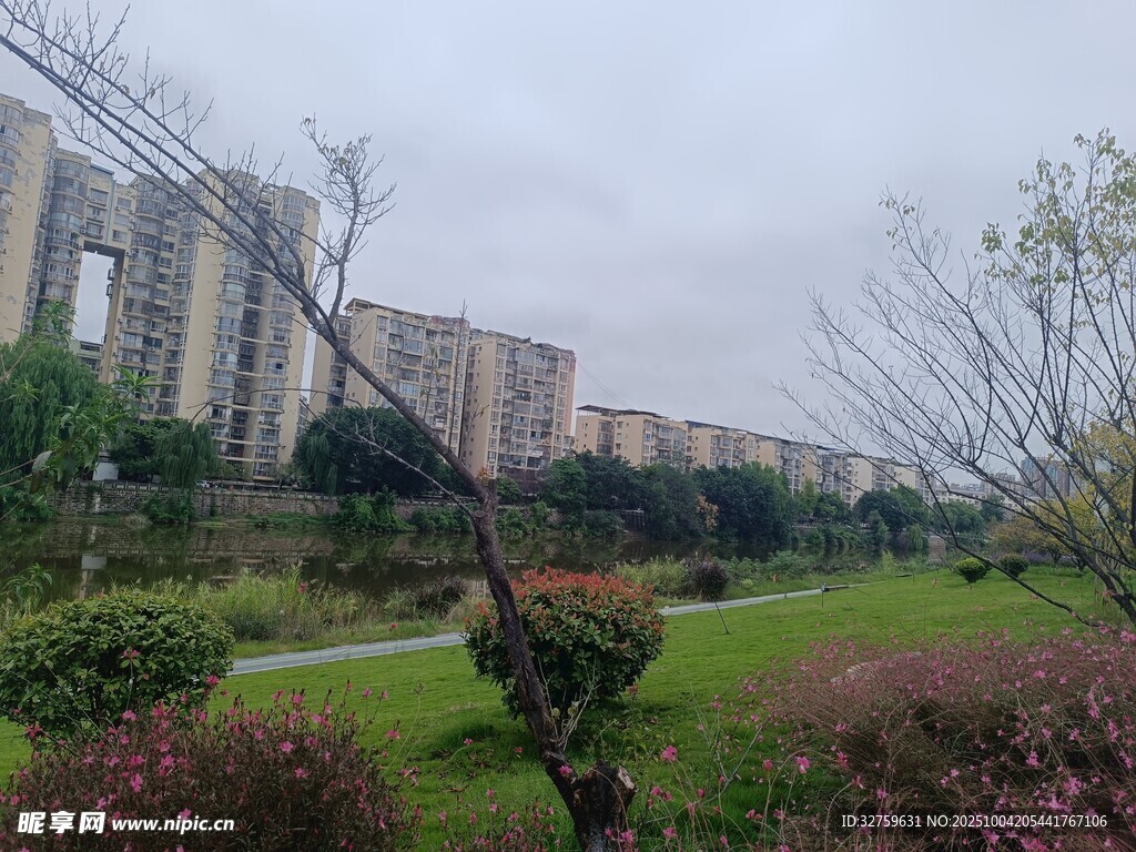 城市中的绿地与高楼景观
