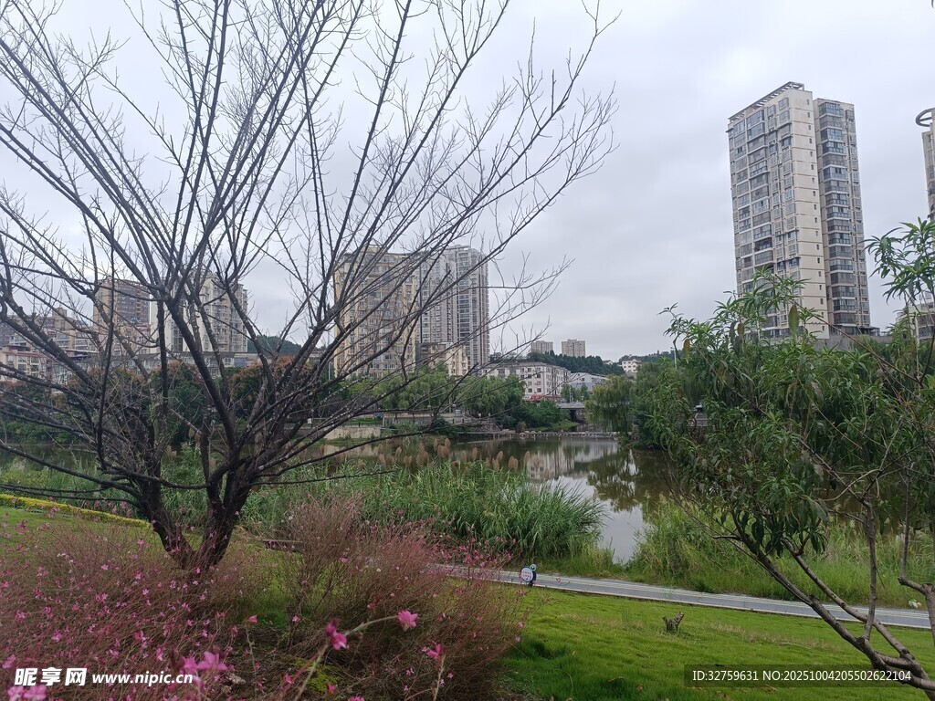城市公园中的自然景致