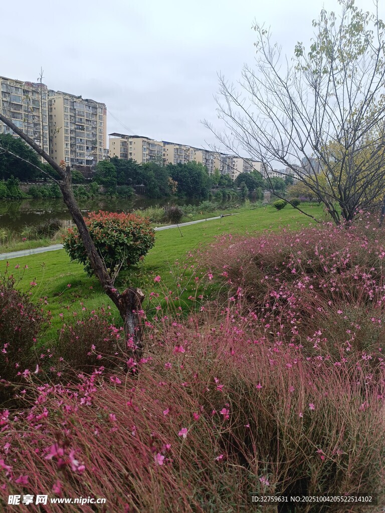 城市公园中的多彩植物景观