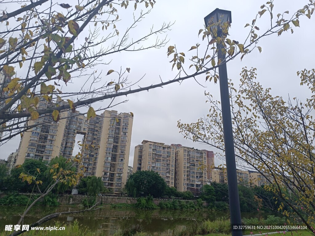 城市公园中的高楼与路灯