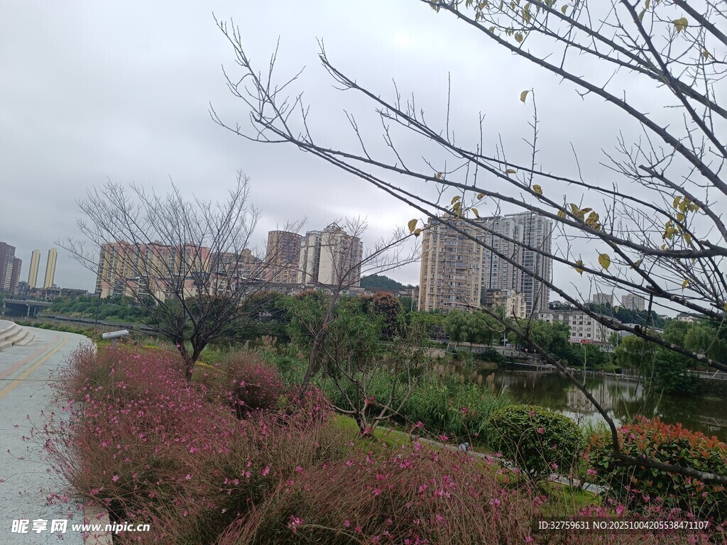 城市河畔绿植景观