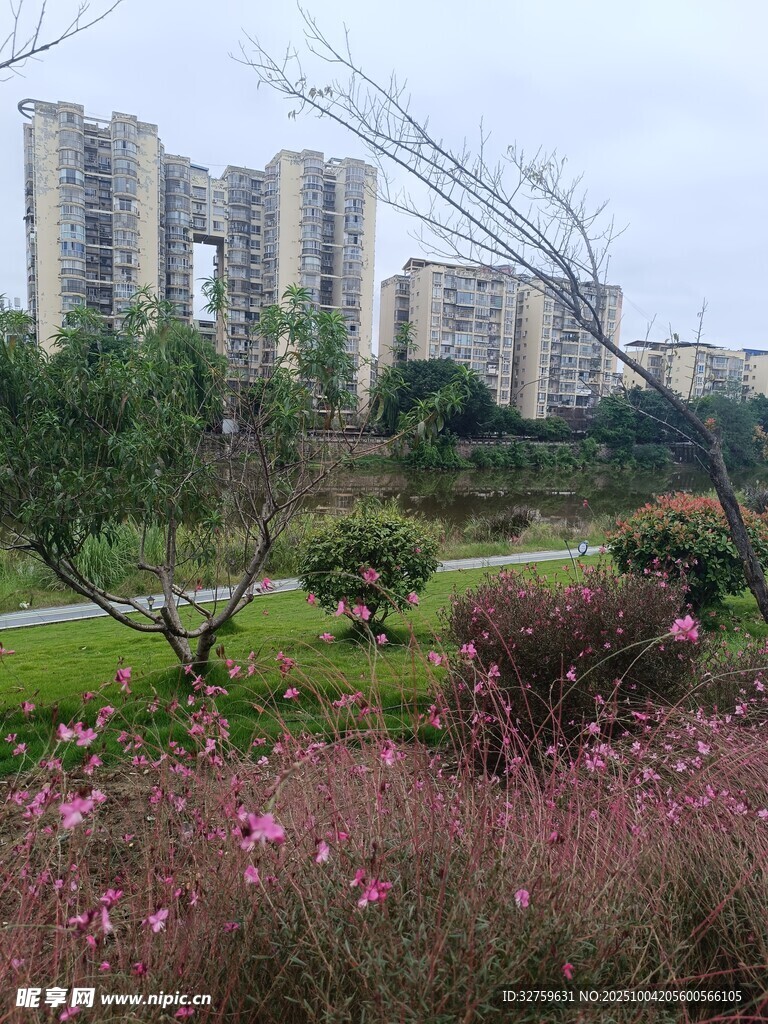 城市中繁花绿树的景致