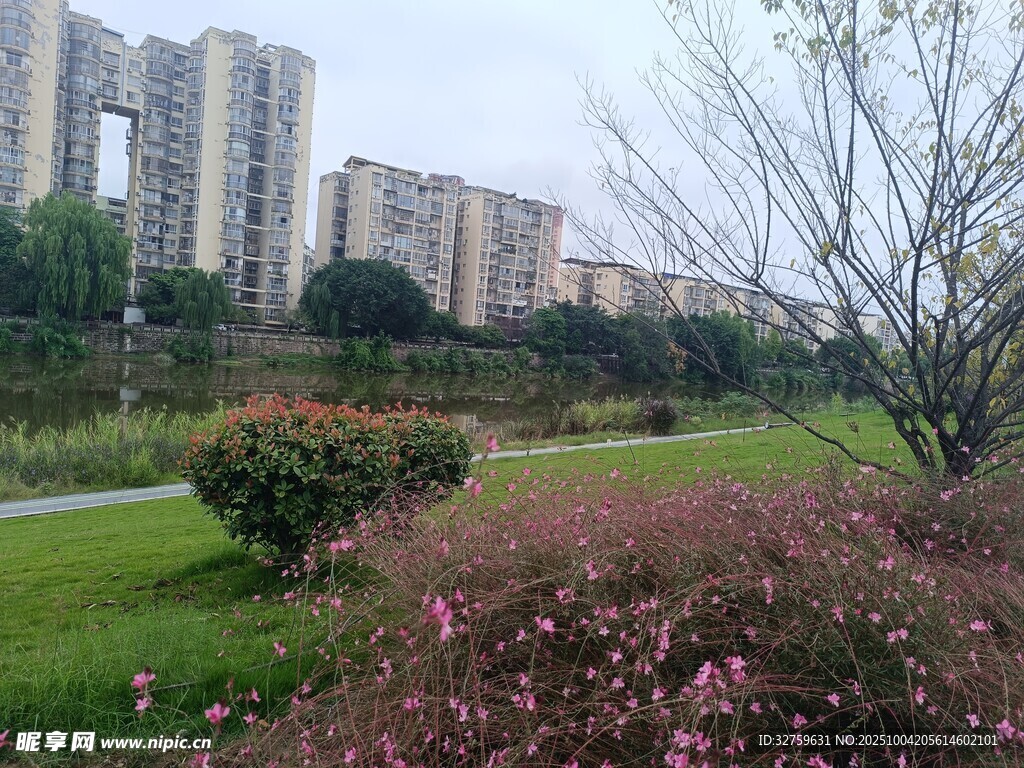 城市中的绿地与花卉景观