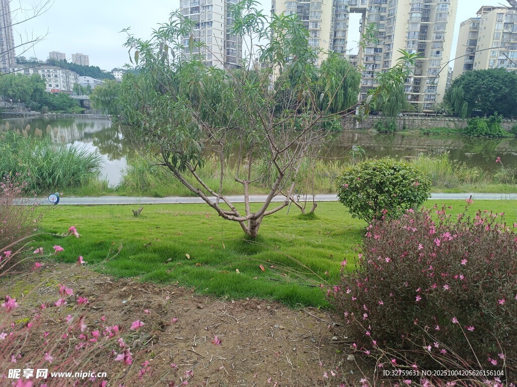 城市中的静谧花园景观