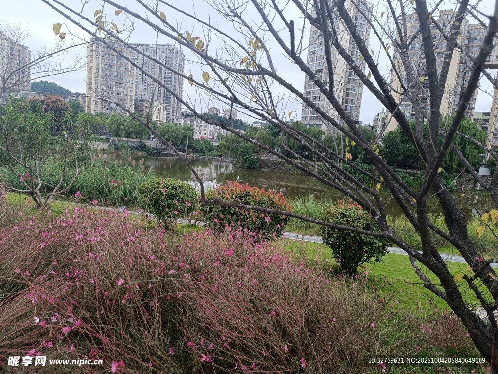 城市中的静谧花园景色