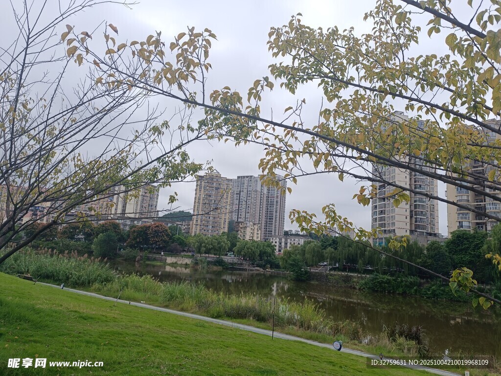 城市河畔绿意景观