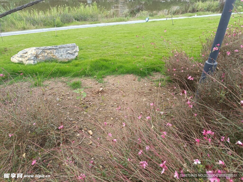 草地旁的花卉与大石景观