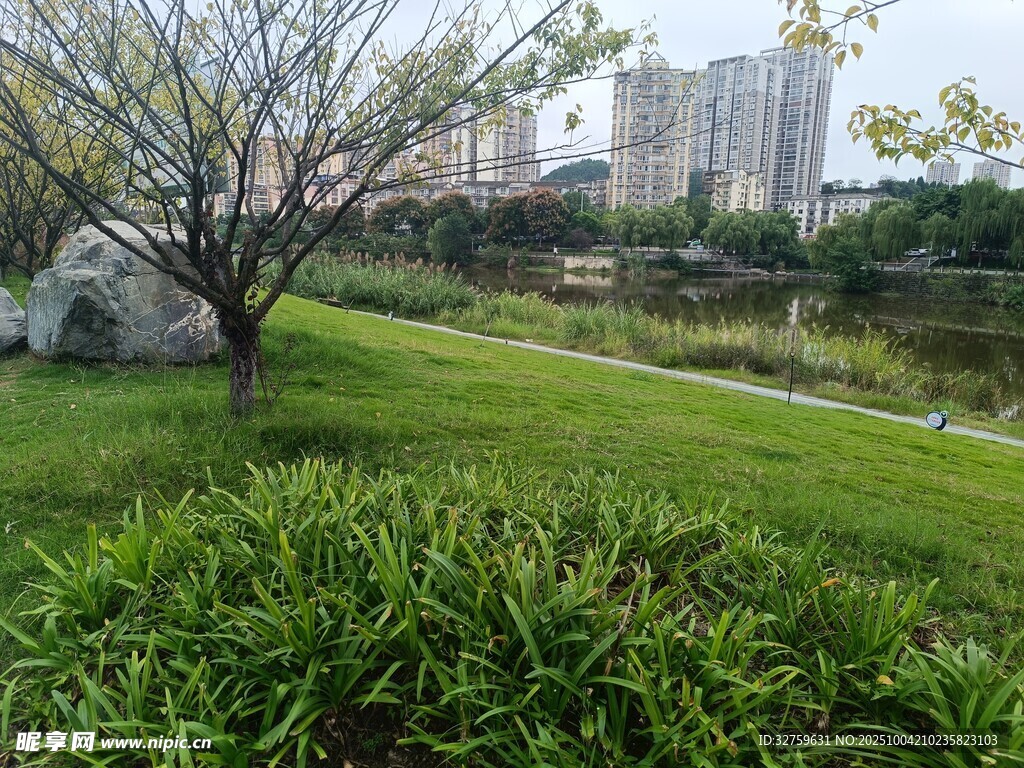 城市中的静谧绿地景观