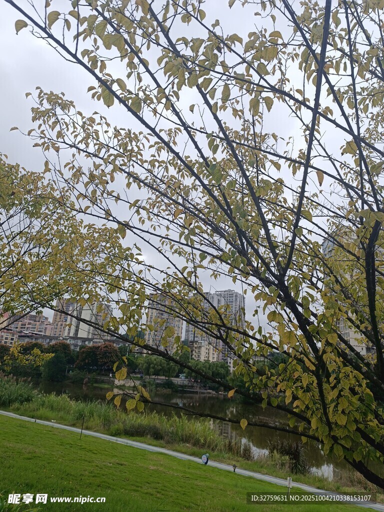 春日公园树木与绿地景观