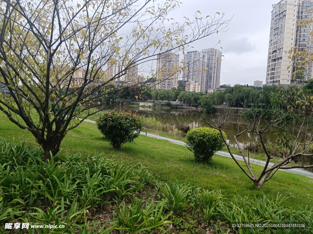 城市中的静谧绿地景观