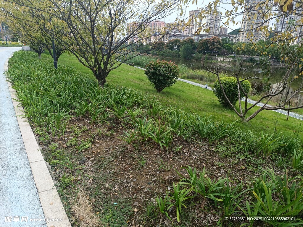 春日路边绿意盎然景观