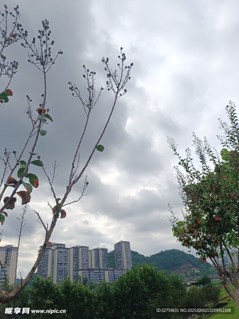 城郊自然风光 