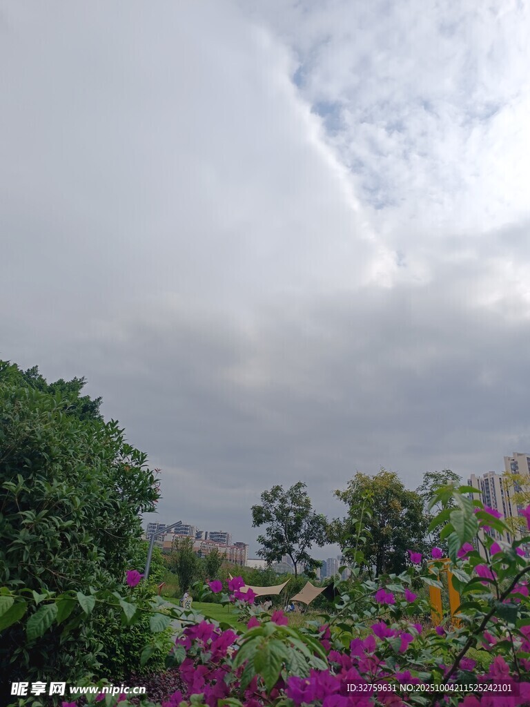 阴天花园景致