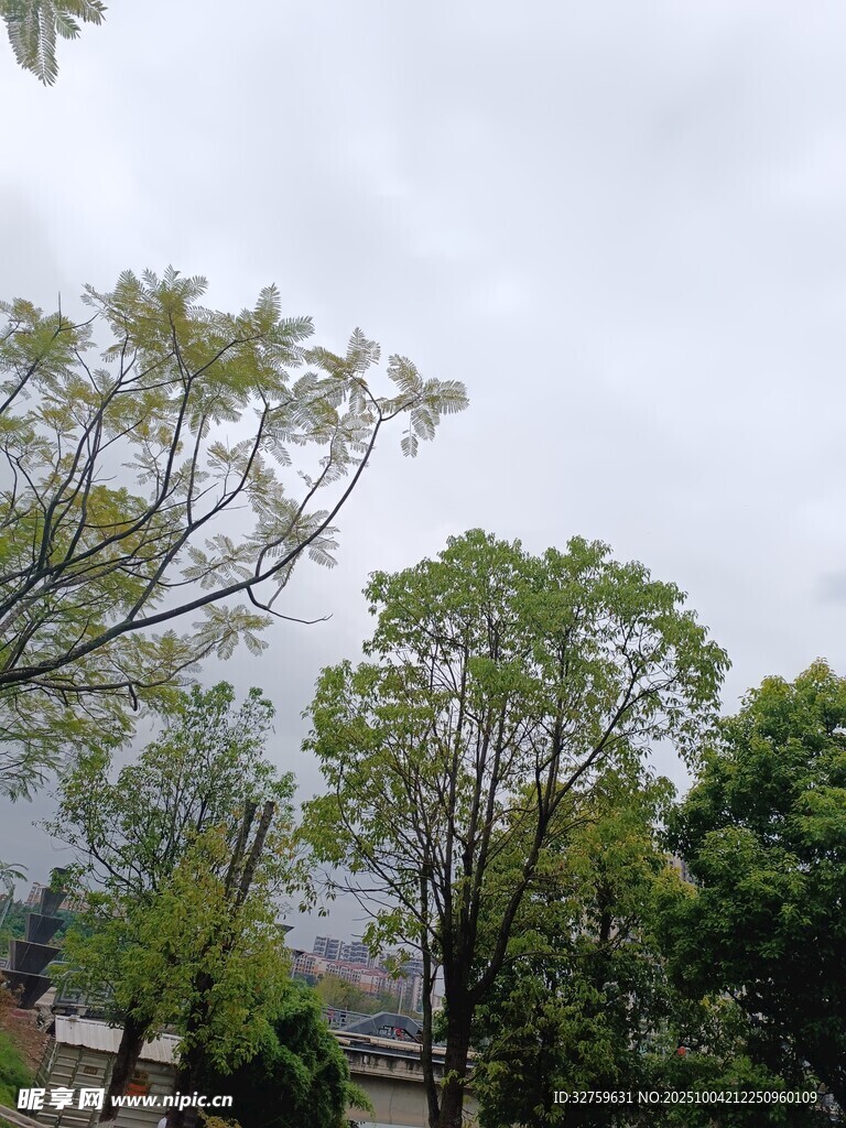 绿树环绕的朦胧景致