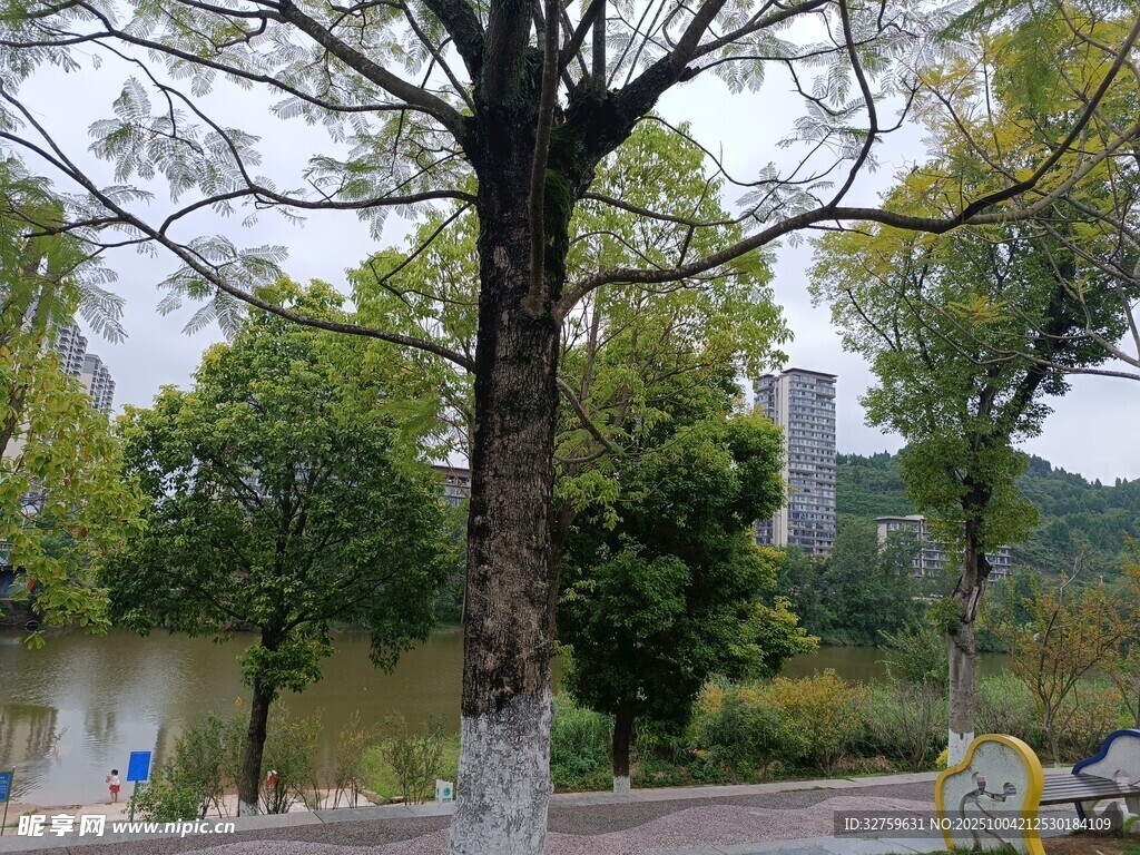 湖畔树木与远处景致