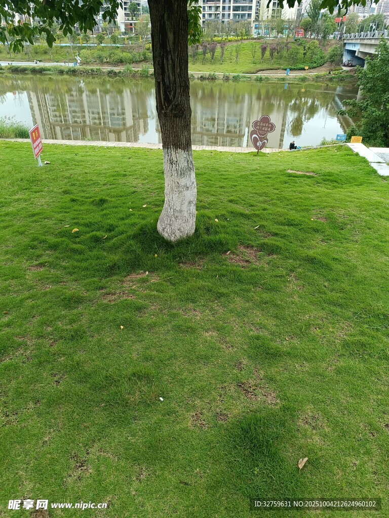 湖畔草地 