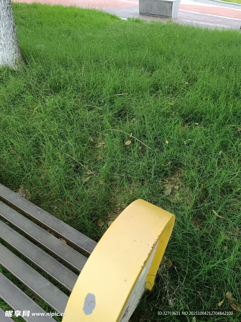 公园长椅旁的翠绿草坪
