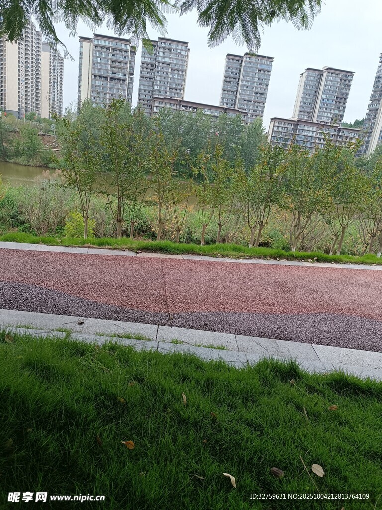 城市公园中的红砖步道