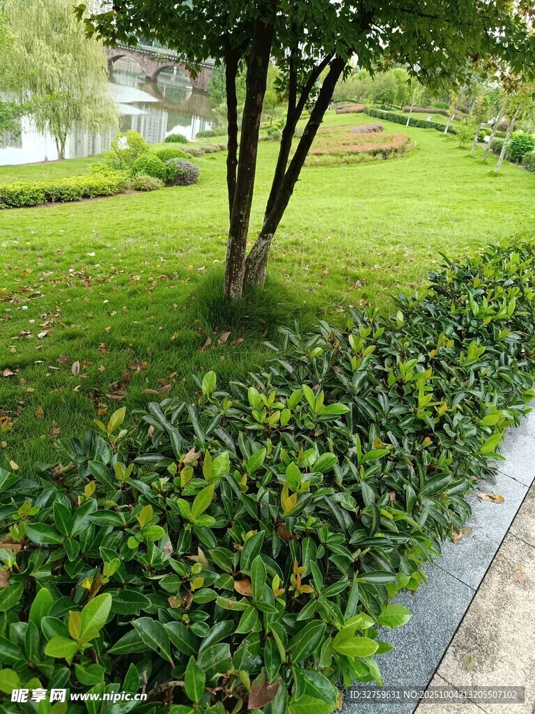 绿意盎然的园林景观一角