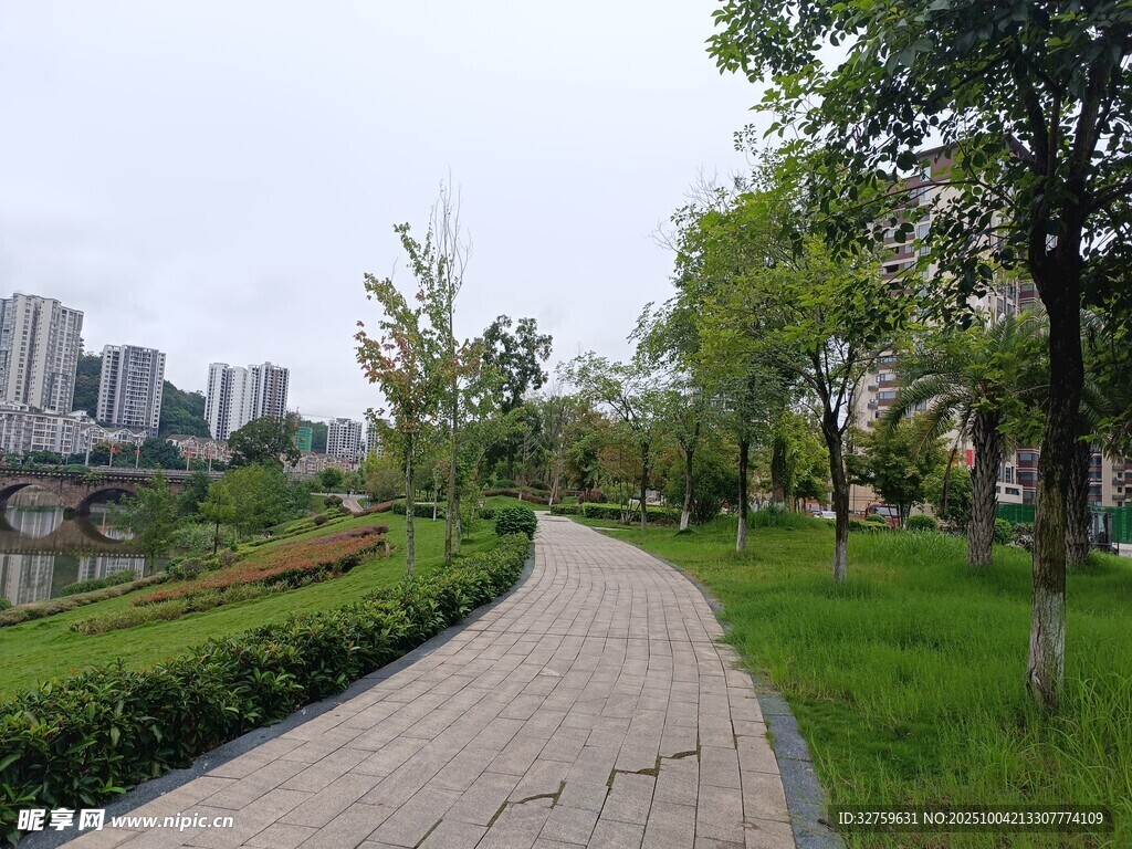 城市中的宁静林荫步道