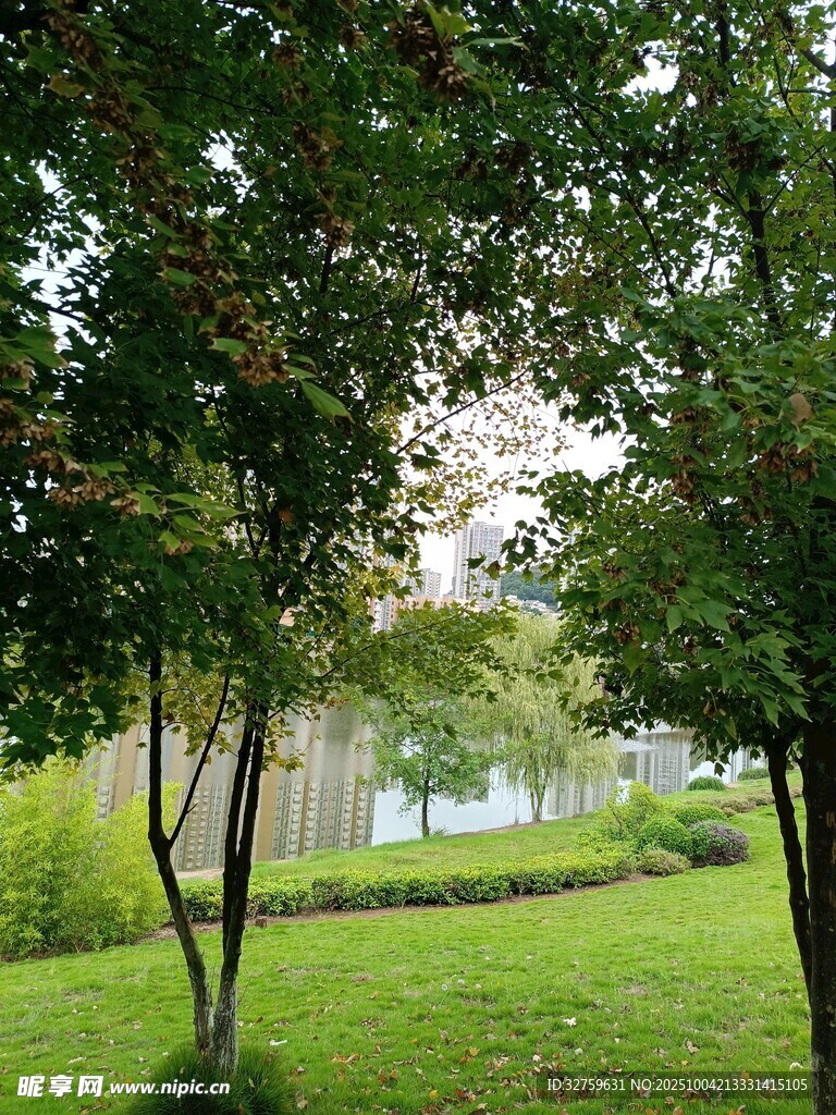 绿意盎然的公园景致