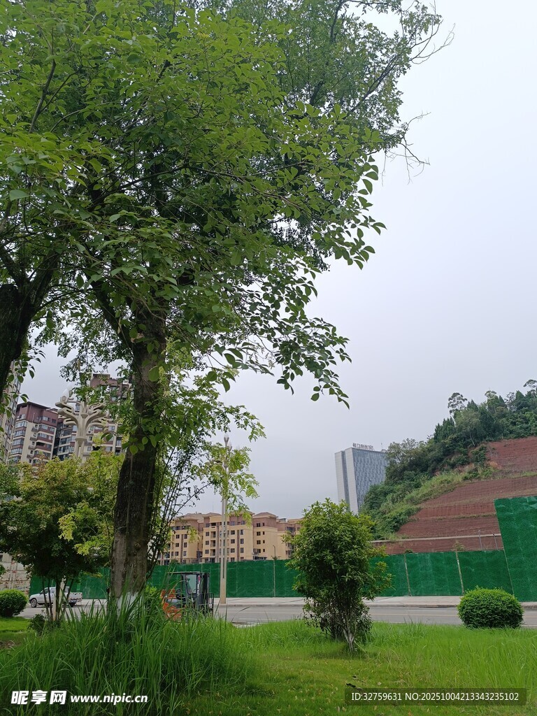 户外绿树环绕的休闲场地