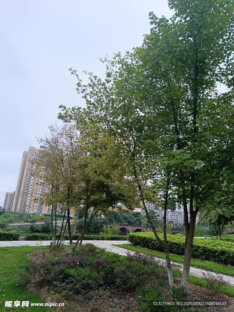 城市公园绿意盎然景致