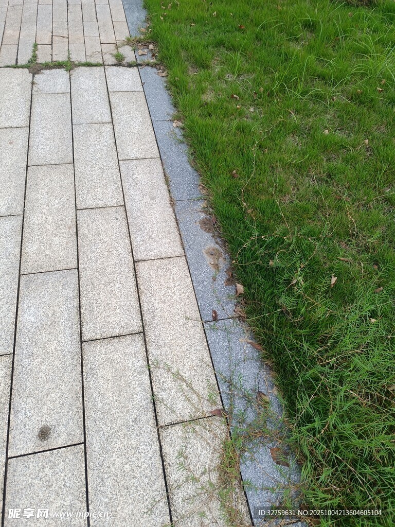 石板小径旁的翠绿草地