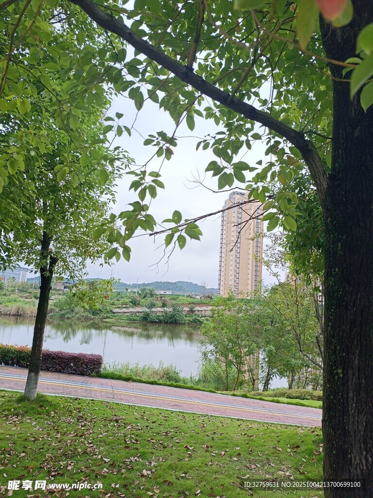 湖畔绿树成荫的休闲景致