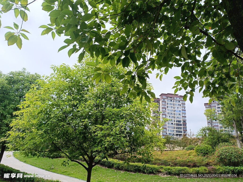 绿意环绕的优雅建筑