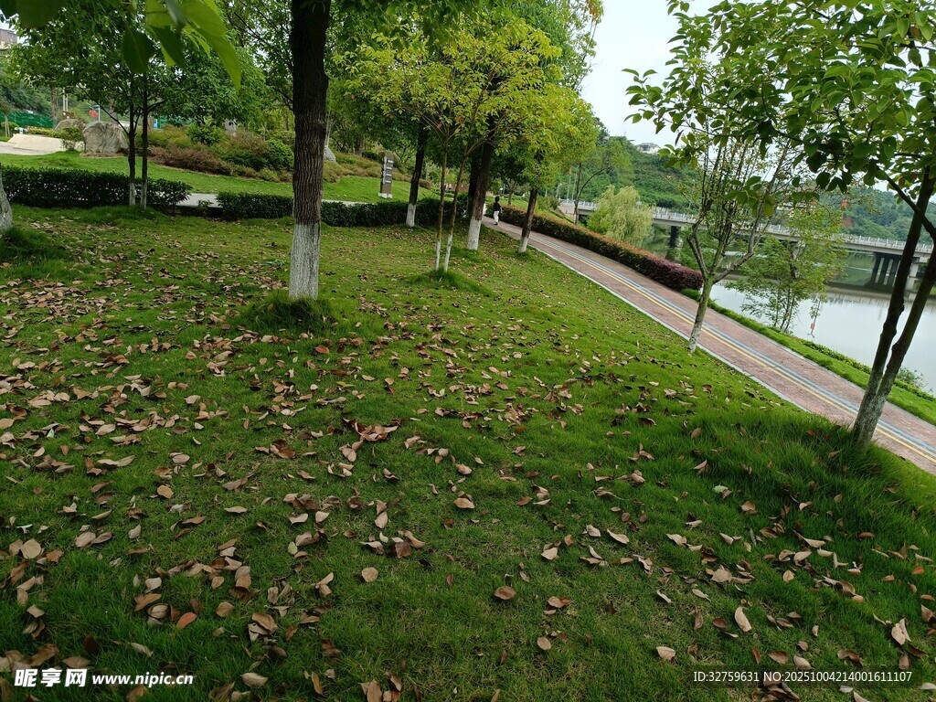 秋日公园草地与湖边景致