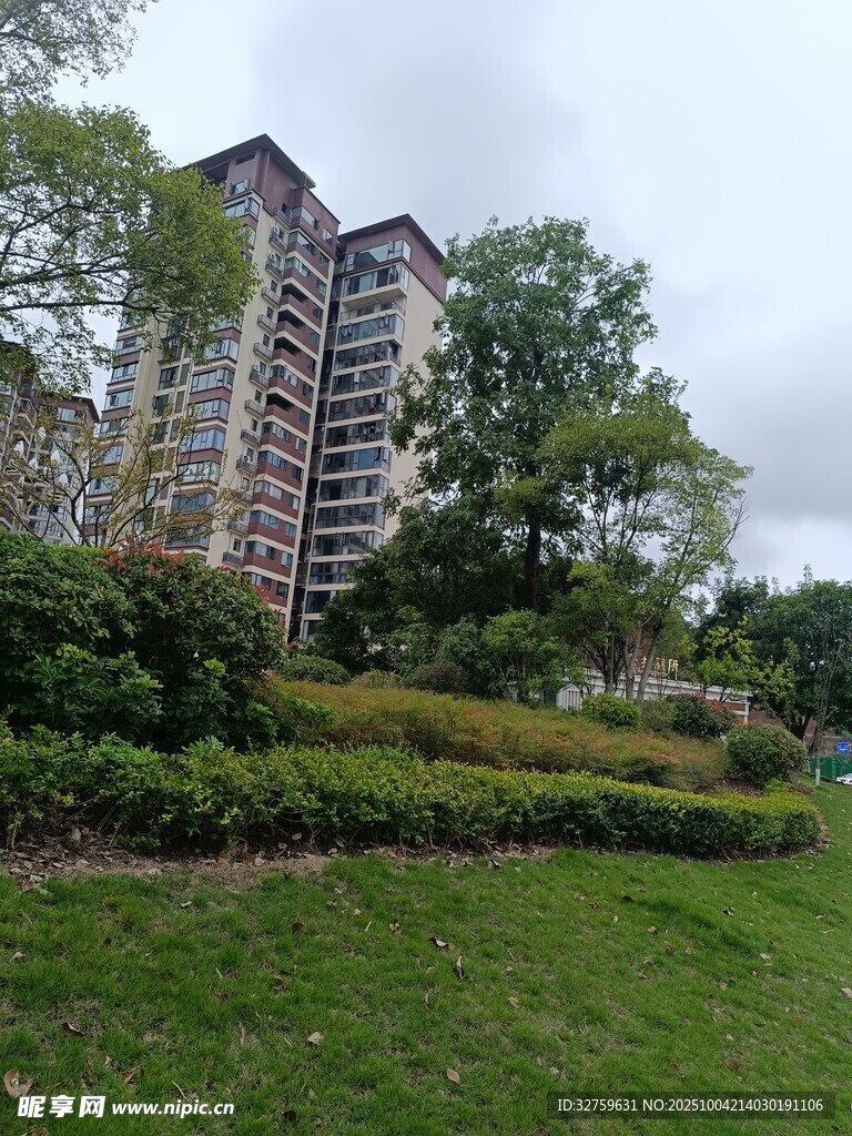 高层住宅旁的绿意景观